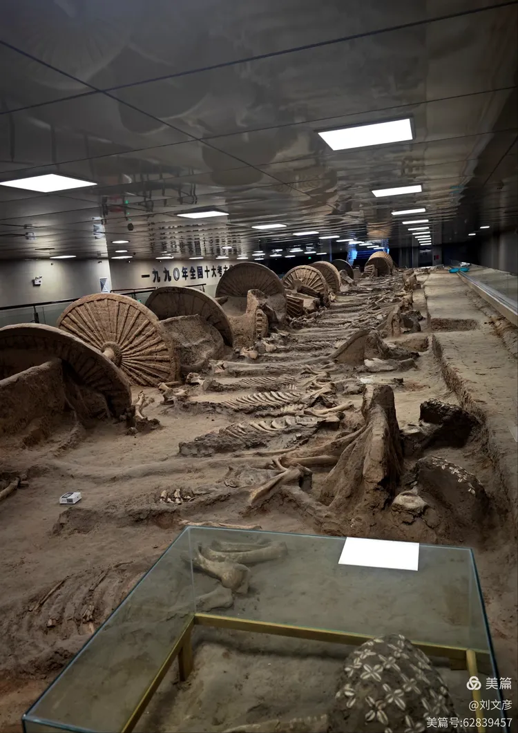 山东 淄博,古车博物馆,春秋殉车马坑遗址,2600年前,中国十大考古发现